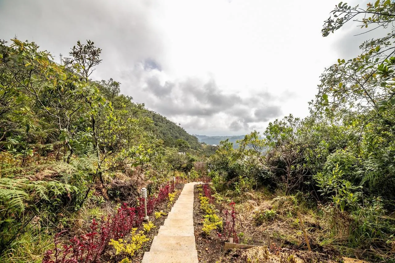 Camping Cerro Verde Mirador Medellín Colombia